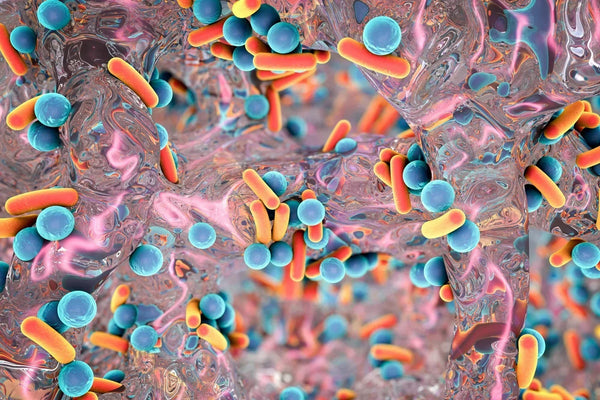 Biofilm: the hidden factor behind UTIs that just keep showing up