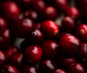 Home Remedies for Frequent UTIs: How To Treat and Prevent Them From Coming Back